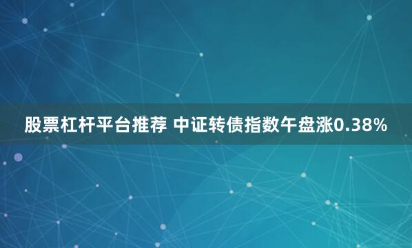 股票杠杆平台推荐 中证转债指数午盘涨0.38%