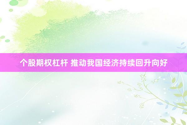 个股期权杠杆 推动我国经济持续回升向好