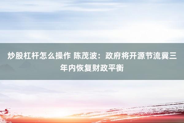 炒股杠杆怎么操作 陈茂波：政府将开源节流冀三年内恢复财政平衡