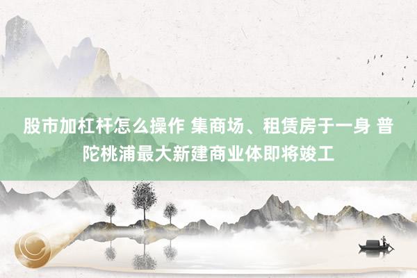 股市加杠杆怎么操作 集商场、租赁房于一身 普陀桃浦最大新建商业体即将竣工