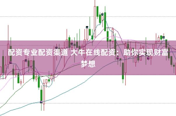 配资专业配资渠道 大牛在线配资：助你实现财富梦想