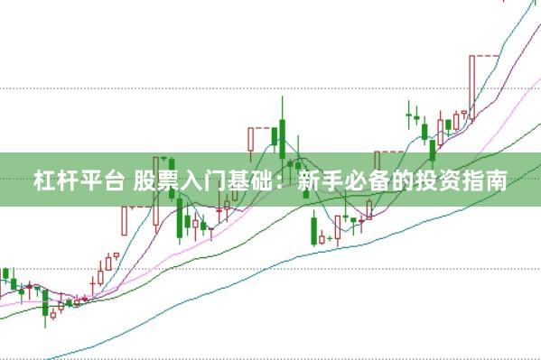 杠杆平台 股票入门基础：新手必备的投资指南