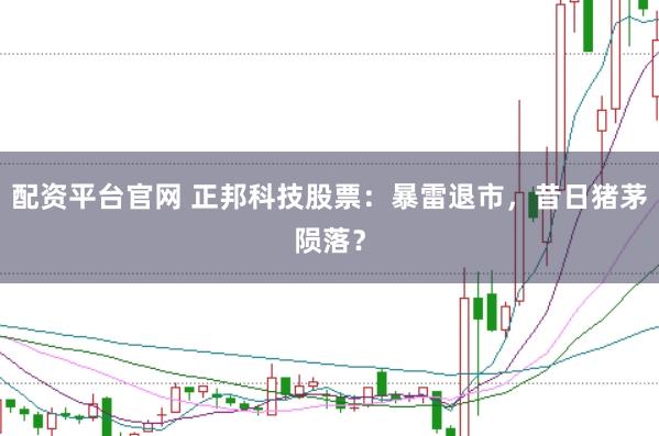 配资平台官网 正邦科技股票：暴雷退市，昔日猪茅陨落？