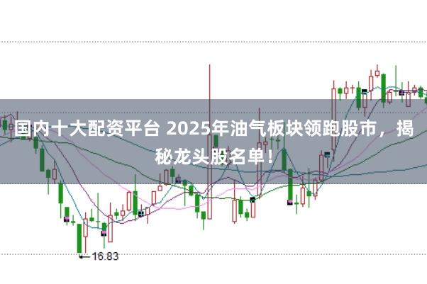 国内十大配资平台 2025年油气板块领跑股市，揭秘龙头股名单！