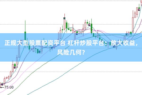 正规大型股票配资平台 杠杆炒股平台：放大收益，风险几何？