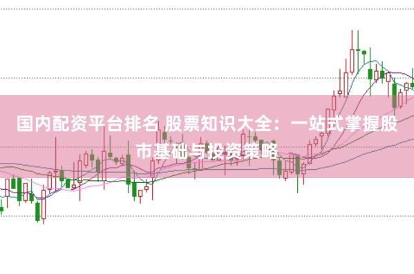 国内配资平台排名 股票知识大全：一站式掌握股市基础与投资策略