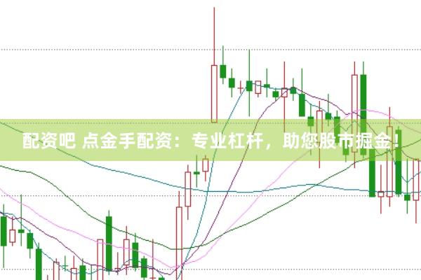 配资吧 点金手配资：专业杠杆，助您股市掘金！