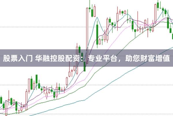 股票入门 华融控股配资:专业平台,助您财富增值