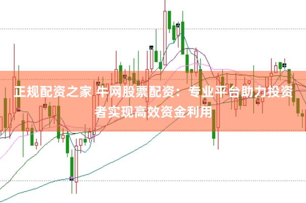 正规配资之家 牛网股票配资：专业平台助力投资者实现高效资金利用