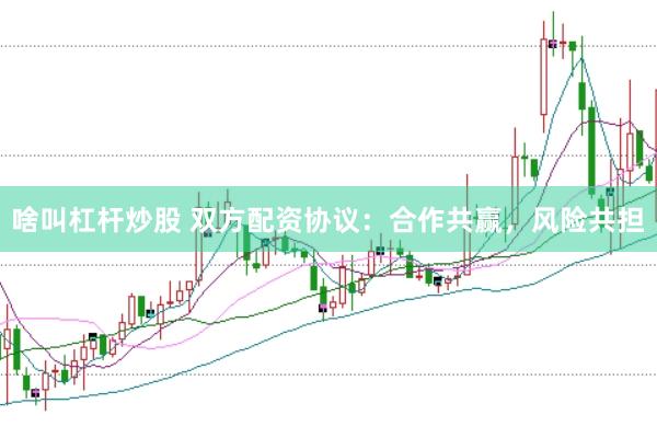 啥叫杠杆炒股 双方配资协议：合作共赢，风险共担