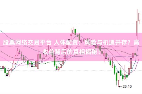 股票网络交易平台 人体配资：风险与机遇并存？高收益背后的真相揭秘！