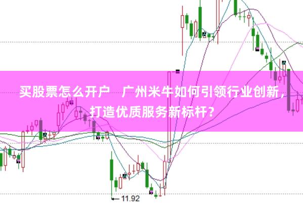 买股票怎么开户   广州米牛如何引领行业创新，打造优质服务新标杆？