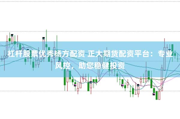 杠杆股票优秀杨方配资 正大期货配资平台：专业风控，助您稳健投资